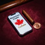 185-A-creative-macro-shot-with-a-slight-camera-tilt-f.jpg
